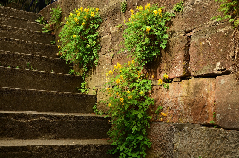 stairs 1404722 1280